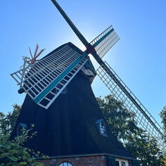 23-09-08 15-27-29 6481